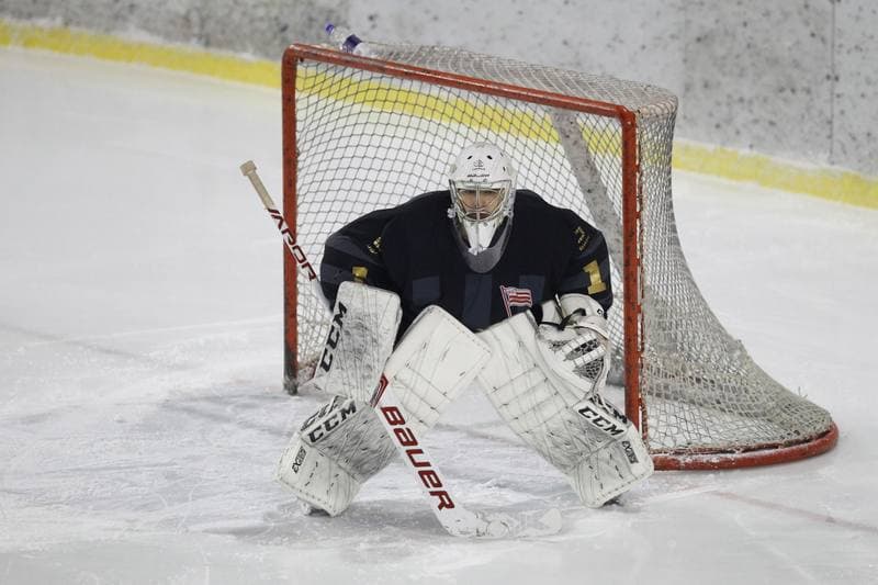 Ice Hockey. Polska Hokej Liga. Zaglebie Sosnowiec - Comarch Cracovia. 22.01.2019