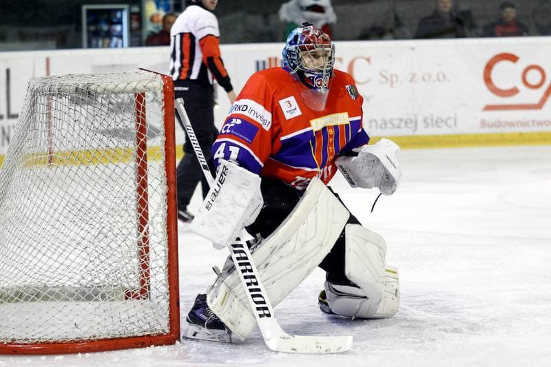 Ice Hockey. Polska Hokej Liga. GKS Tychy - Tempish Polonia Bytom. 06.12.2016