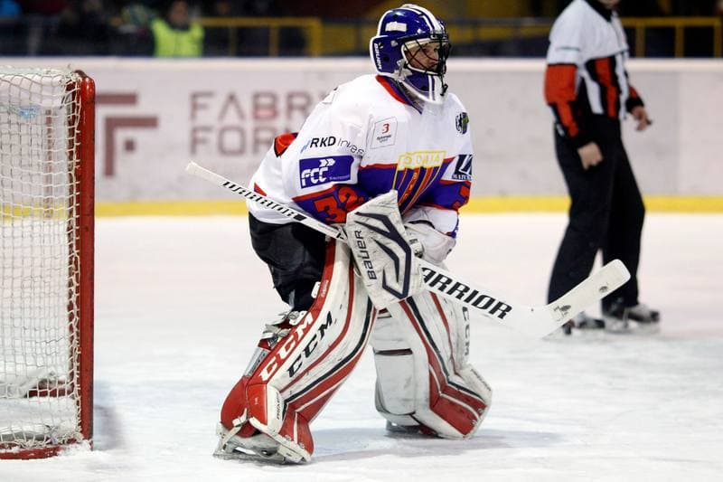 Ice Hockey. Polska Hokej Liga. Tempish Polonia Bytom - Podhale Nowy Targ. 29.01.2017