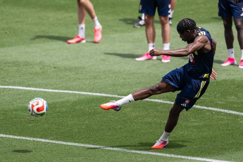 Football. World Cup 2026. Sweden. Training. 09.06.2026