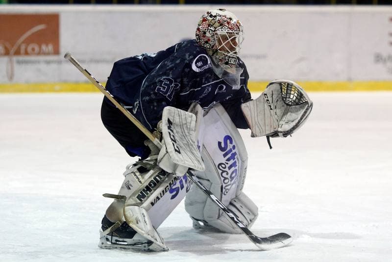Ice Hockey. Polska Hokej Liga. Polonia Bytom - Automatyka Gdansk. 21.01.2018