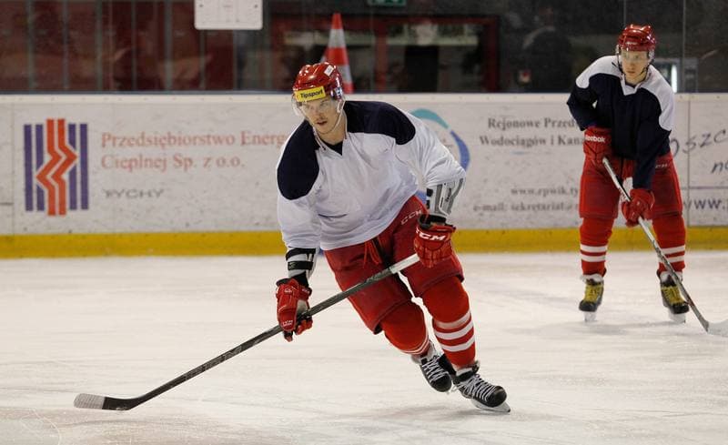 Ice Hockey. Poland national team. Training. 14.04.2025