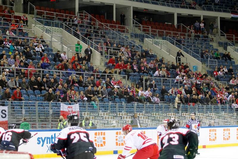 Ice Hockey. IIHF World Championship Division 1A. Poland - Japan. 20.04.2015
