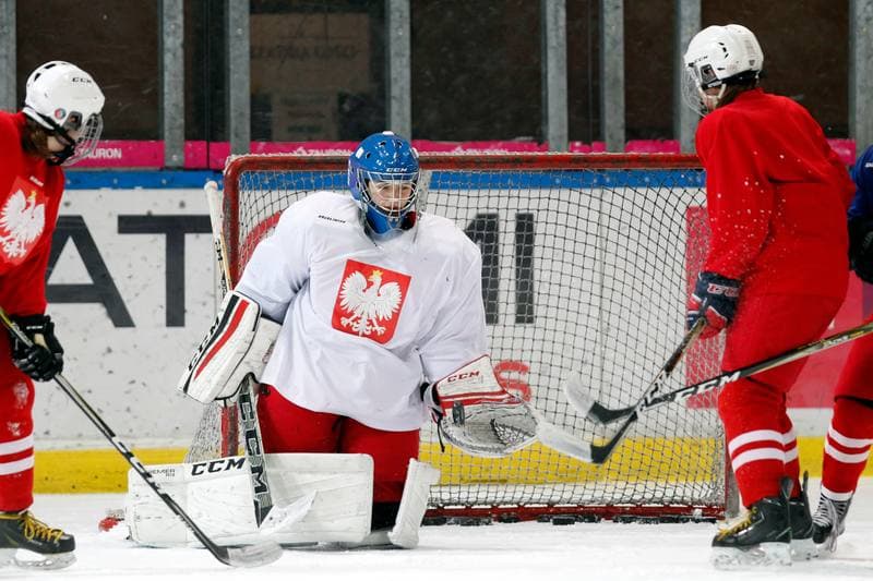 Ice Hockey. Poland national team. Training. 15.02.2018