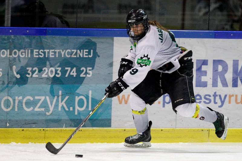 Ice Hockey. PLHK. Naprzod Janow - Polonia Bytom. 24.02.2018