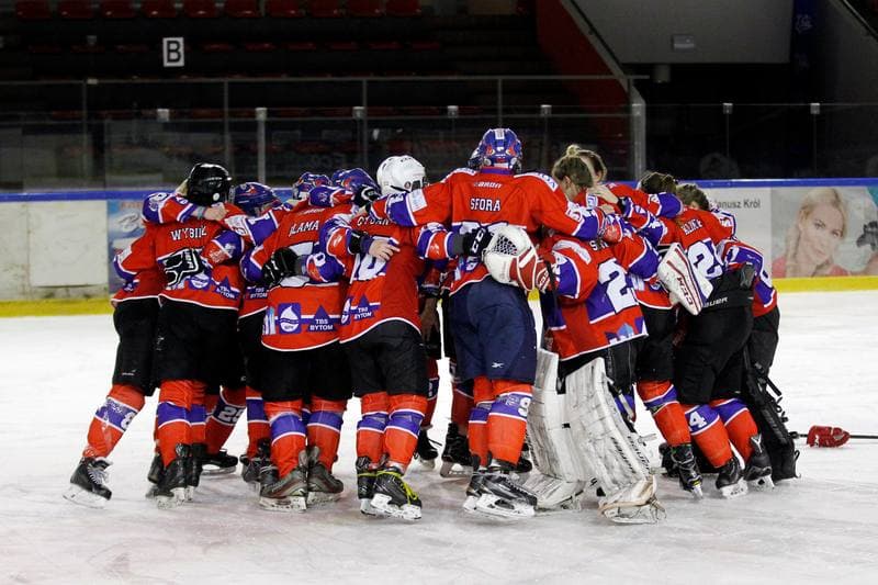 Ice Hockey. PLHK. Naprzod Janow - Polonia Bytom. 24.02.2018