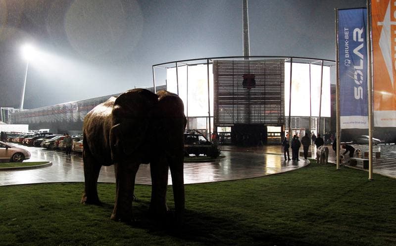 Football. PKO BP Ekstraklasa. Termalica Bruk-Bet Nieciecza - Piast Gliwice. 20.11.2015