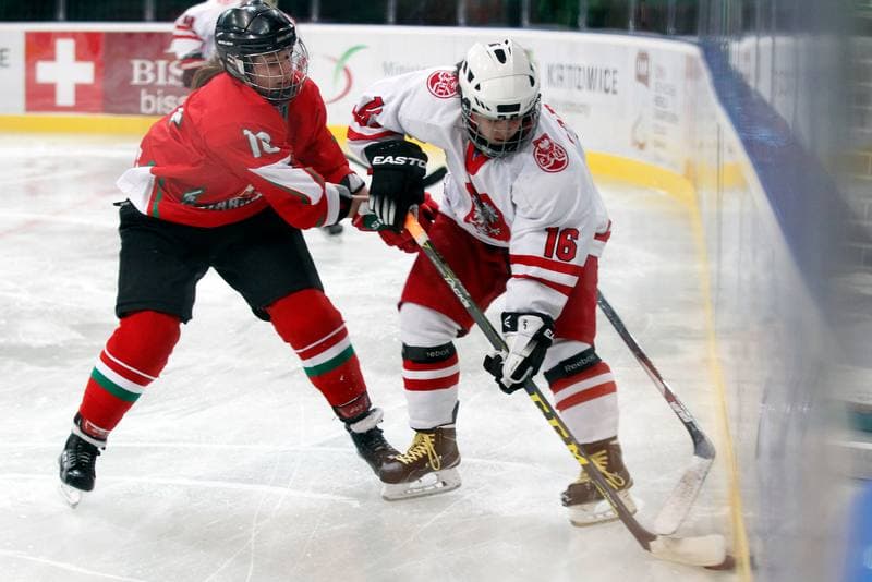 Ice Hockey. Women's Friendly Match. Poland - Hungary. 05.02.2016