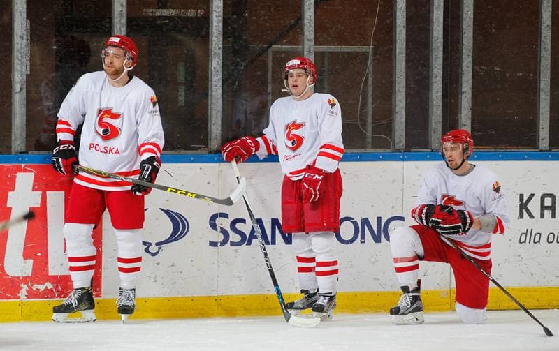 Ice Hockey. Poland national team. Training. 13.04.2016