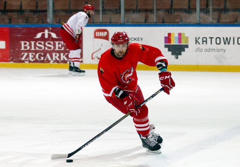 Ice Hockey. Poland national team. Training. 13.04.2016