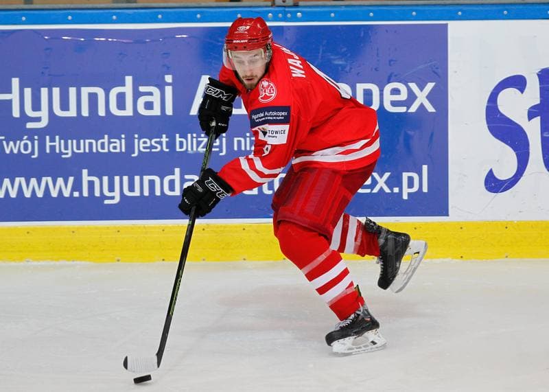 Ice Hockey. International Friendly Match. Poland - Korea. 16.04.2016