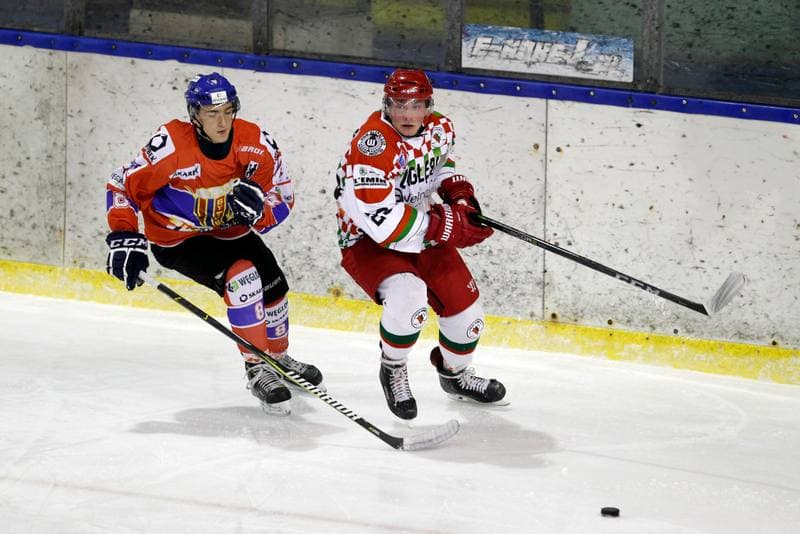 Ice Hockey. Polska Hokej Liga. Zaglebie Sosnowiec - Weglokoks Kraj Polonia Bytom. 28.10.2018