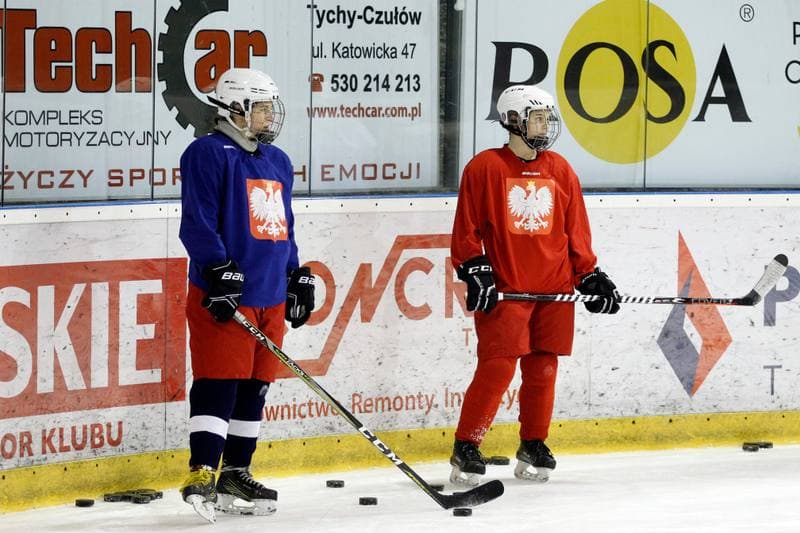 Ice Hockey. Poland national team. Training. 28.12.2018