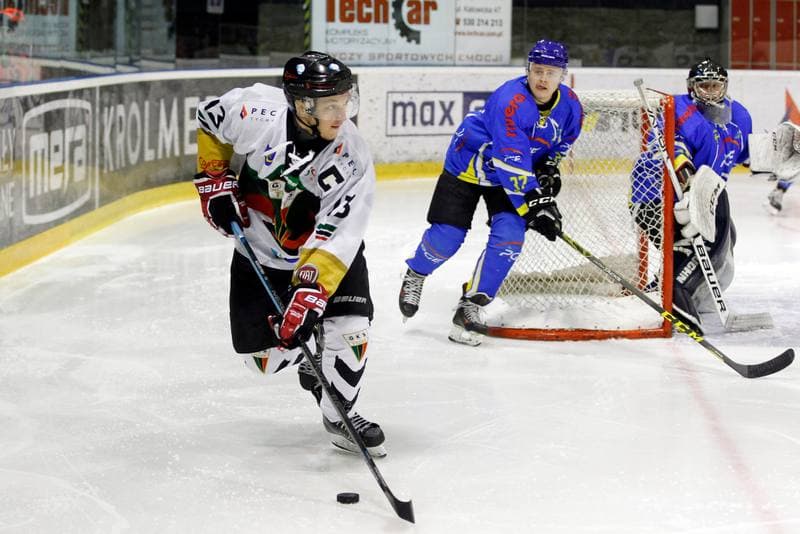Ice Hockey. Polska Hokej Liga. GKS Tychy - PGE Orlik Opole. 13.01.2019