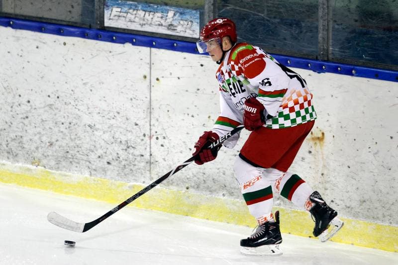 Ice Hockey. Polska Hokej Liga. Zaglebie Sosnowiec - Comarch Cracovia. 22.01.2019