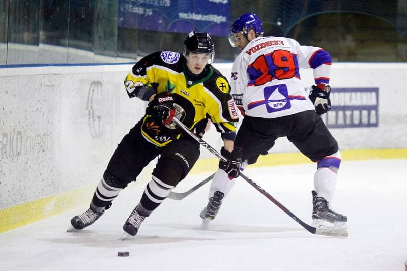 Ice Hockey. Polska Hokej Liga. Tempish Polonia Bytom - JKH GKS Jastrzebie. 20.01.2017