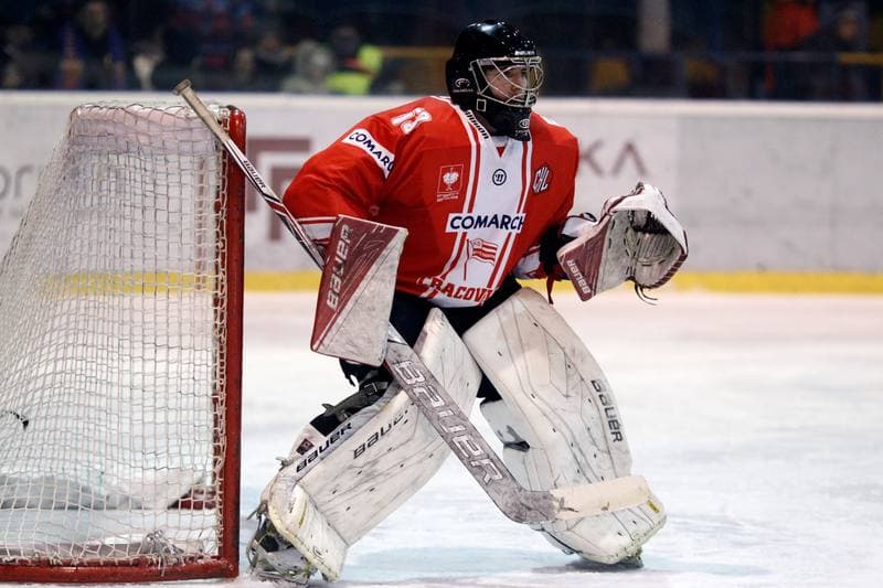 Ice Hockey. PHL. Tempish Polonia Bytom - Comarch Cracovia. 27.01.2017