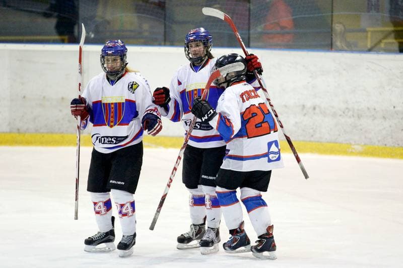 Ice Hockey. PLHK. Polonia Bytom - Atomowki Tychy. 27.01.2017