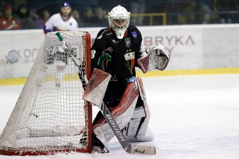 Ice Hockey. Polska Hokej Liga. Tempish Polonia Bytom - GKS Tychy. 15.02.2017