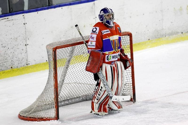 Ice Hockey. Polska Hokej Liga. Zaglebie Sosnowiec - Weglokoks Kraj Polonia Bytom. 13.01.2019