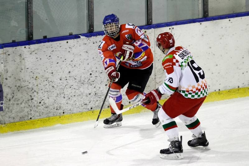 Ice Hockey. Polska Hokej Liga. Zaglebie Sosnowiec - Weglokoks Kraj Polonia Bytom. 13.01.2019