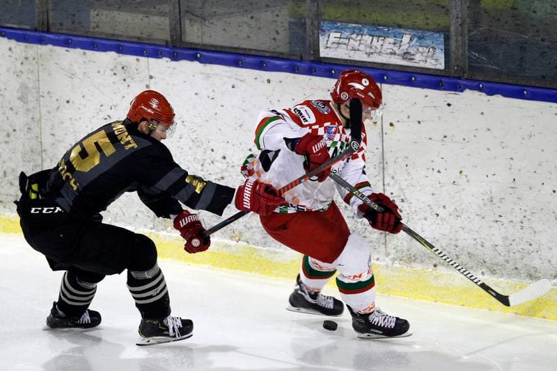 Ice Hockey. Polska Hokej Liga. Zaglebie Sosnowiec - Comarch Cracovia. 22.01.2019