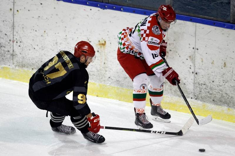 Ice Hockey. Polska Hokej Liga. Zaglebie Sosnowiec - Comarch Cracovia. 22.01.2019