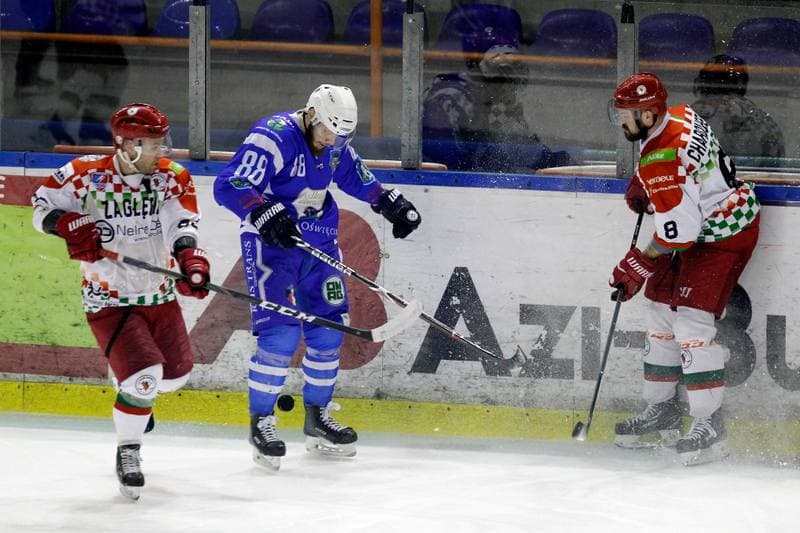 Ice Hockey. Polska Hokej Liga. Zaglebie Sosnowiec - Unia Oswiecim. 01.02.2019