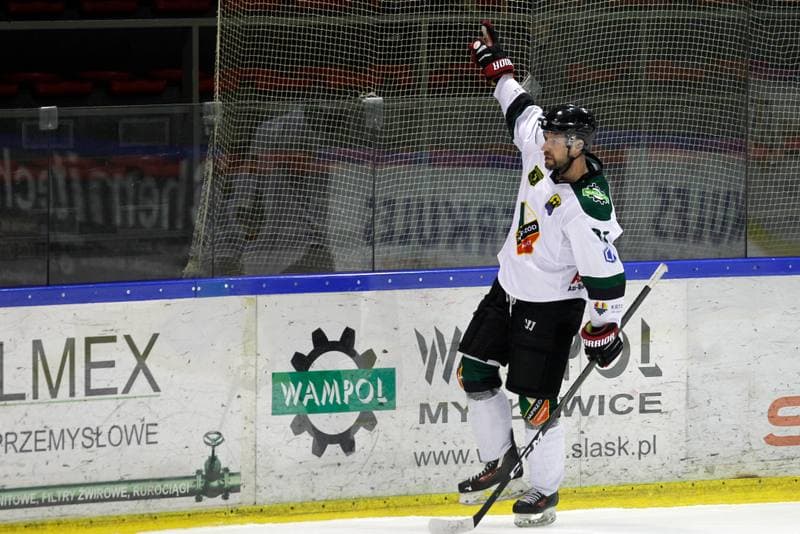 Ice Hockey. Polska Hokej Liga. Naprzod Janow - Zaglebie Sosnowiec. 23.02.2019