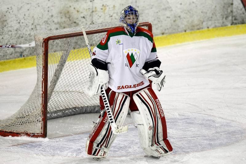 Ice Hockey. I Liga. Zaglebie Sosnowiec - Academy 1928 KTH Krynica. 10.02.2018