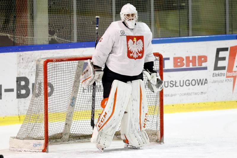 Ice Hockey. Poland national team. Training. 13.02.2018