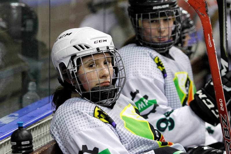 Ice Hockey. PLHK. Naprzod Janow - Polonia Bytom. 24.02.2018