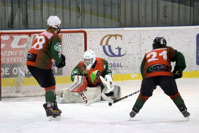 Ice Hockey. PLHK. Polonia Bytom - Naprzod Janow. 03.03.2018