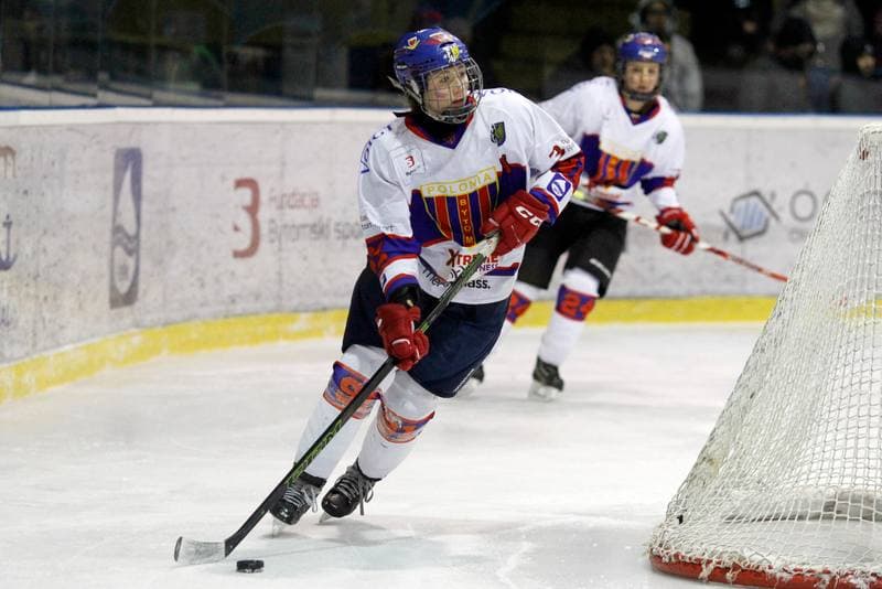 Ice Hockey. PLHK. Polonia Bytom - Stoczniowiec Gdansk. 17.03.2018