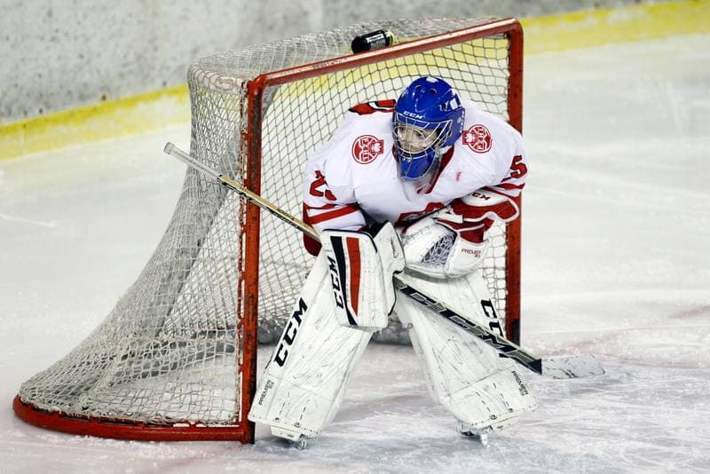 Ice Hockey. Women's U18 Championship. Poland - Hungary. 11.11.2018