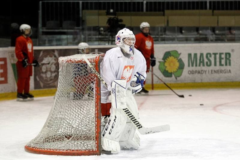 Ice Hockey. Poland national team. Training. 28.12.2018