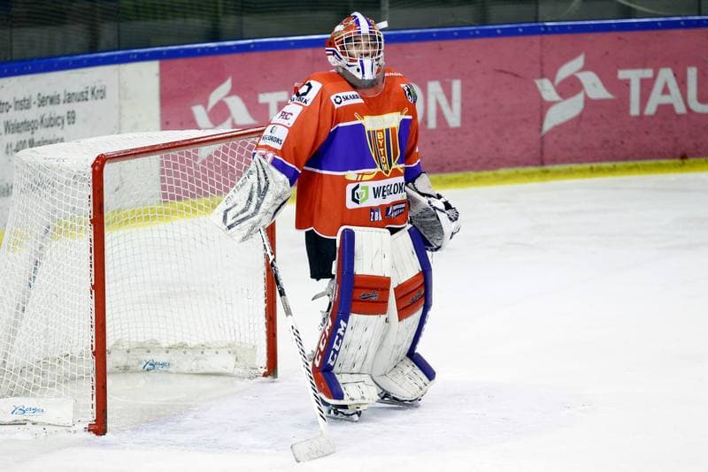 Ice Hockey. Polska Hokej Liga. Tauron KH GKS Katowice - Weglokoks Kraj Polonia Bytom. 08.01.2019