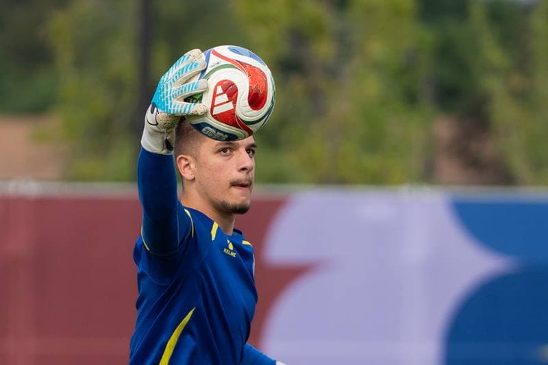 Football. World Cup 2026. Bosnia and Herzegovina. Training. 09.06.2026