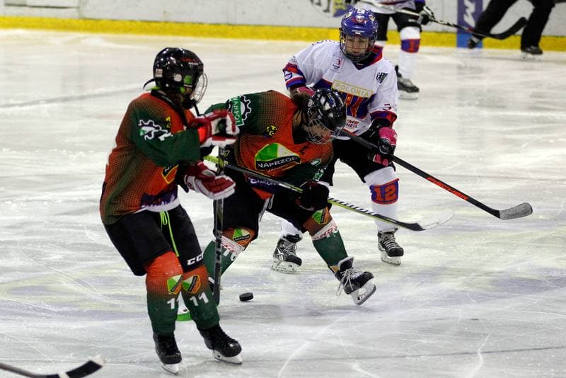 Ice Hockey. PLHK. Polonia Bytom - Naprzod Janow. 21.10.2017