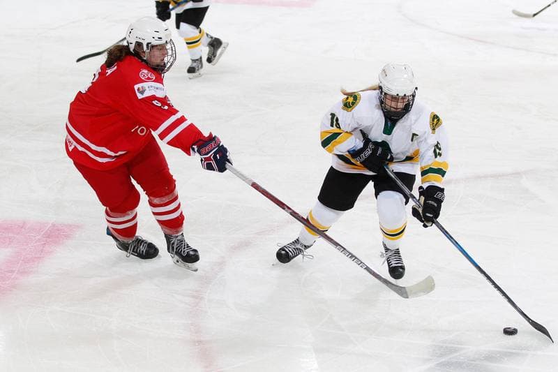 Ice Hockey. Women's U18 World Championship Division 1B. Poland - Australia. 07.01.2018
