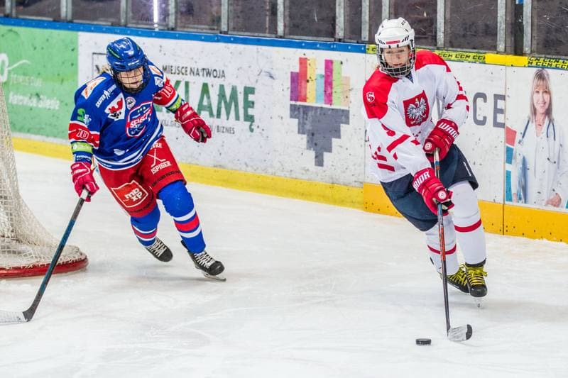 Ice Hockey. EWHL. Silesia Breckens - Hvidovre IK Selects. 01.12.2019