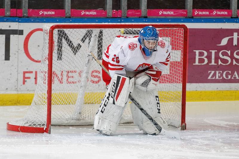 Ice Hockey. TCN. Poland - Hungary. 18.02.2018