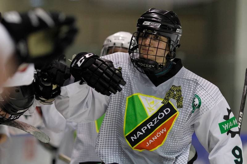 Ice Hockey. PLHK. Naprzod Janow - Polonia Bytom. 24.02.2018