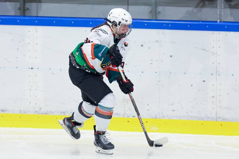Ice Hockey. Tauron Liga. Kojotki Naprzod Janow - Stoczniowiec Gdansk. 24.02.2024