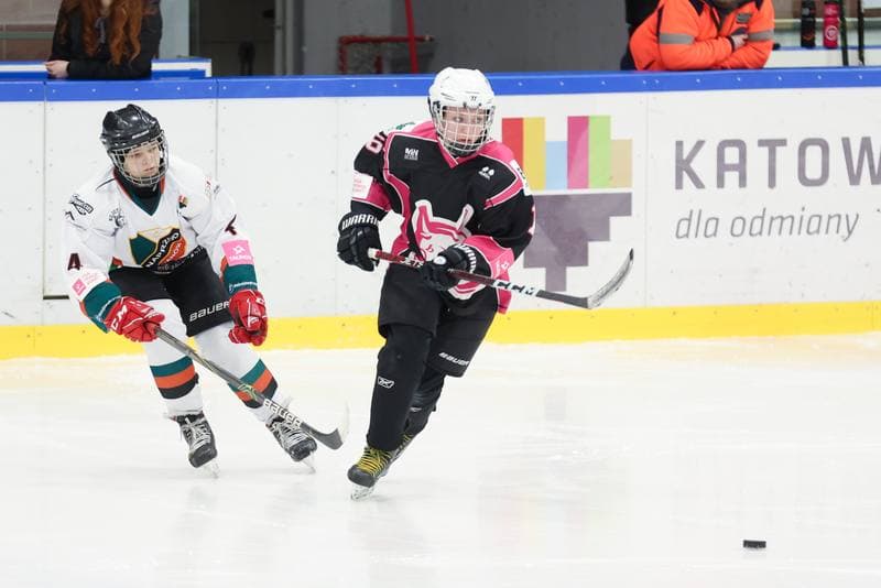 Ice Hockey. Tauron Liga Kobiet. Kojotki Naprzod Janow - Kozice Poznan. 20.01.2024