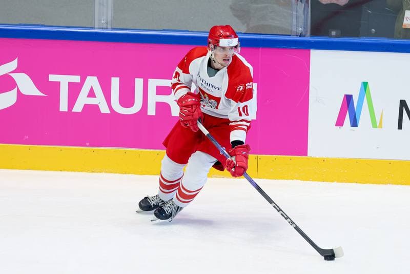 Ice Hockey. Friendly Match. Poland - Hungary. 13.04.2024