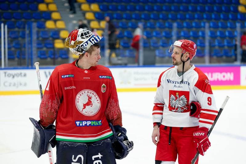 Ice Hockey. Friendly Match. Poland - Hungary. 13.04.2024