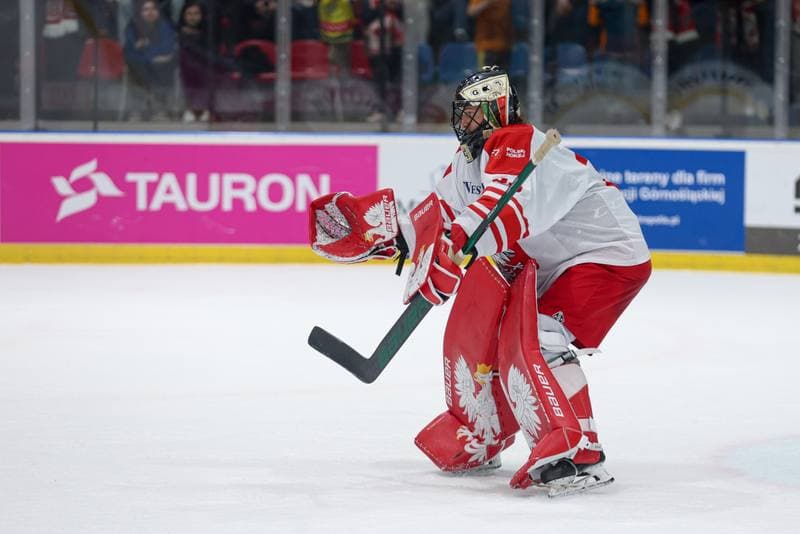 Ice Hockey. Friendly Match. Poland - Slovenia. 19.04.2024