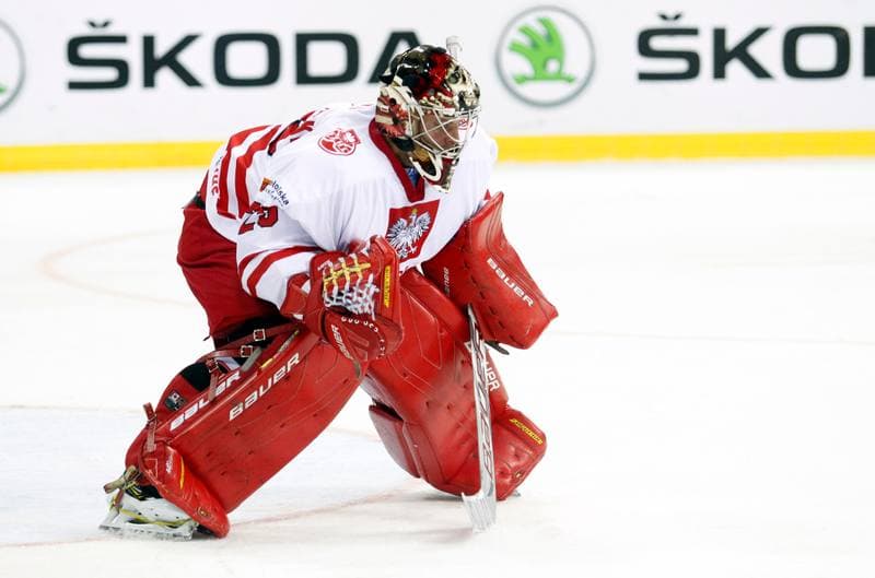 Ice Hockey. IIHF World Championship Division 1A. Poland - Kazakhstan. 23.04.2015