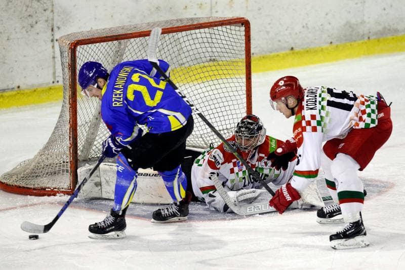Ice Hockey. Polska Hokej Liga. Zaglebie Sosnowiec - Orlik Opole. 17.02.2019